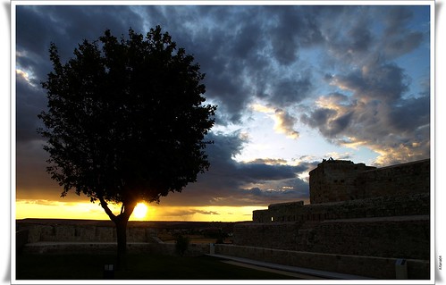 sunset sky tree clouds arbol atardecer cielo nubes ocaso castillo zamora castilla diamondclassphotographer flickrdiamond aitana64