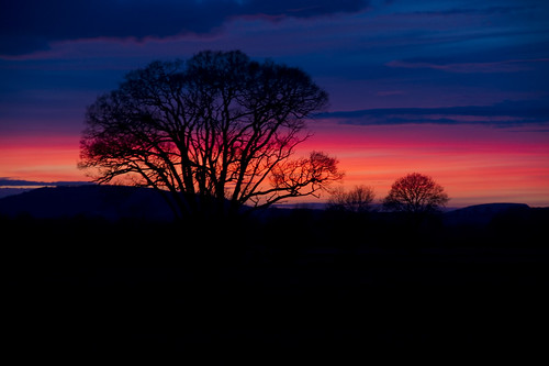 morning red tree silhouette sunrise geotagged sony sigma18200mm a550 geo:lon=298605 geo:lat=52131407