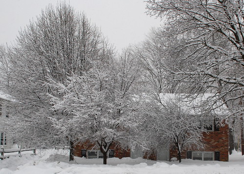 trees snow storm de nikon delaware newark nikkor blizzard snowpocalypse d80 18135mm southcollegeavenue snomageddon