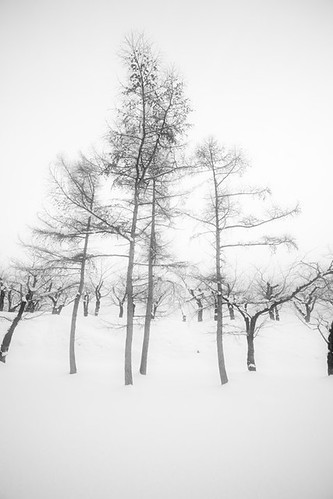 winter japan landscape hokkaido