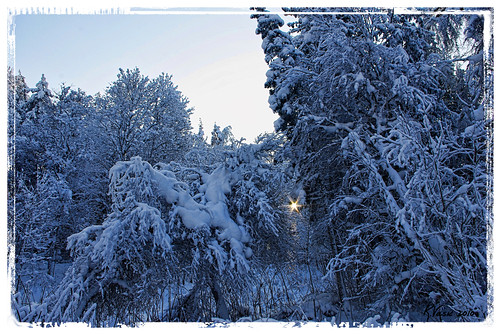 trees winter sky snow tree photoshop geotagged estonia view pentax natureza natur natura lumi km est januar 2010 eesti loodus talv da1855mm läänevirumaa vanagram uljaste