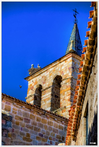 españa church spain nikon torre paloma 1855mm tejado hdr zamora cigüeña románico cipriano nikond60 sancipriano
