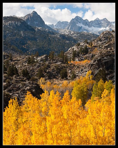 california autumn trees orange mountains color green fall leaves yellow canon landscape valley aspen bishopcreekcanyon 40d 55250mm