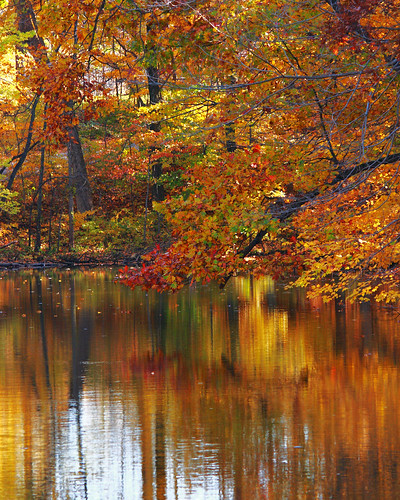 fall colors pond indiana shades