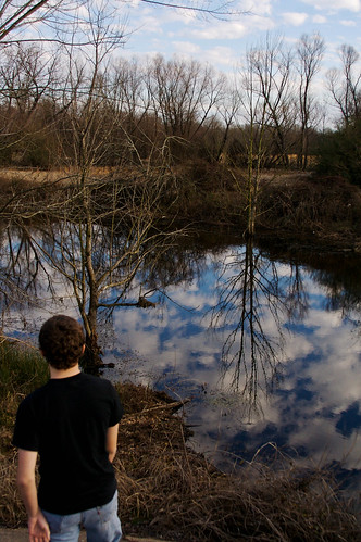 blue trees sky reflection creek texas dekalb