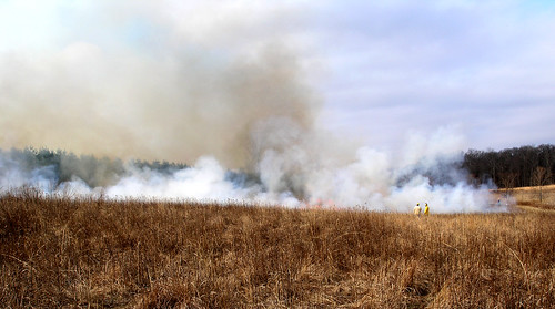 grass fire control smoke burn prairie habitat controlled prescribed prescribe reedfarm prairieburn