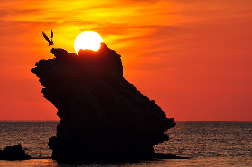 sunset sea rock tramonto mare foto seagull picture gabbiano terrasini faraglione mywinners