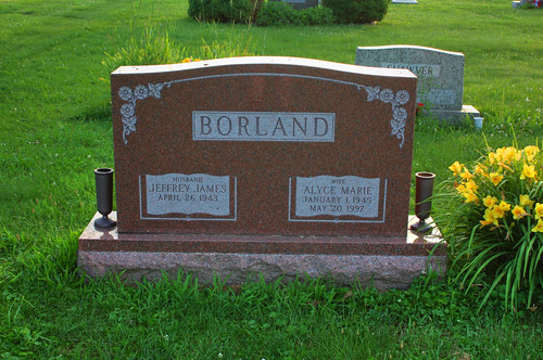 ohio cemetery hdr monroetownship harrisoncounty 3px longviewcemetery borlandfamily