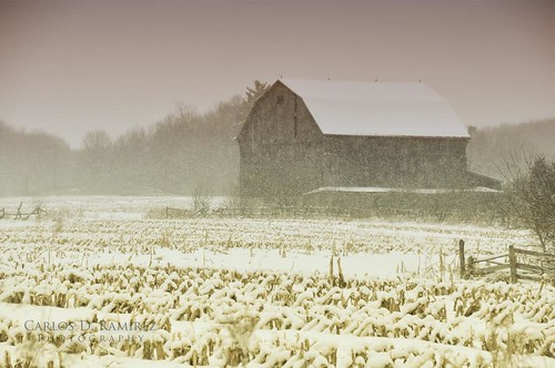 winter snow ontario canada barn landscape nikon sigma explore snowing richmondhill gp1 d90 carlosdramirez cdr35