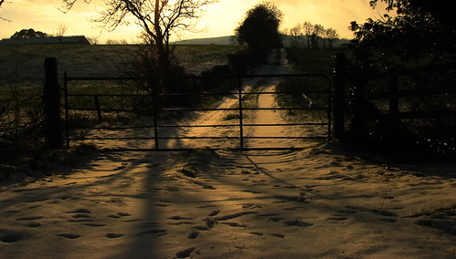 ireland sunset irish snow nature rural landscape countryside gate shadows special lane fields countrylandscapes