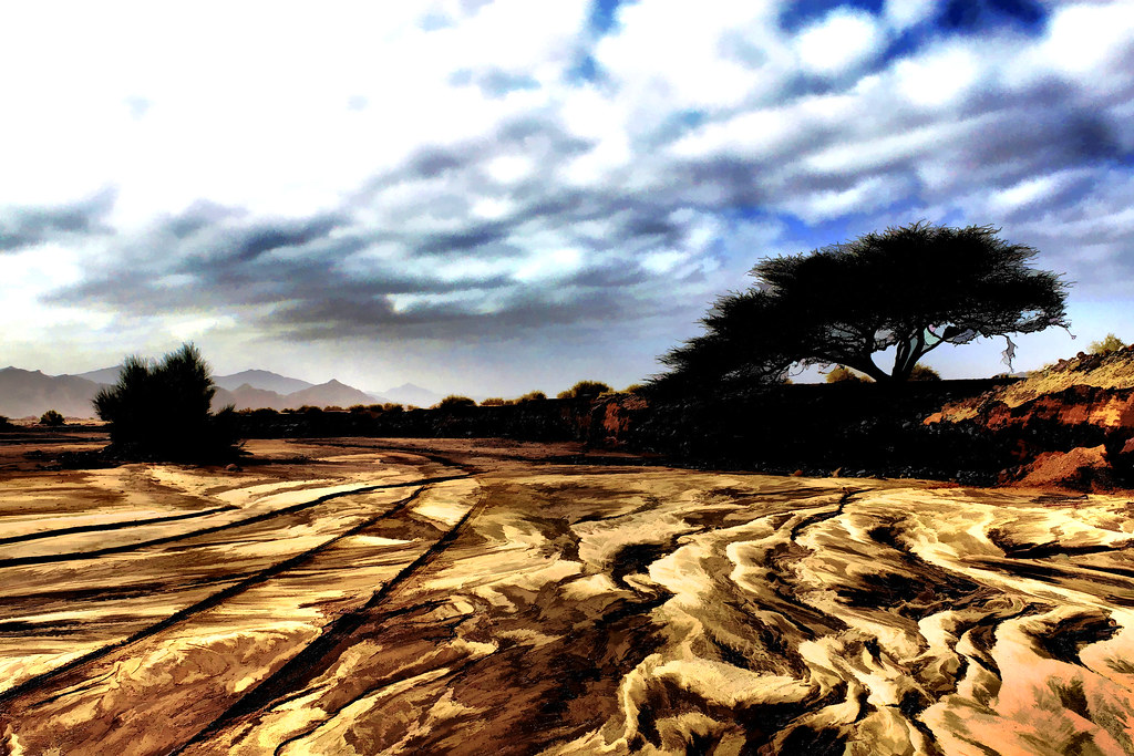 ARABIAN DESERT ...