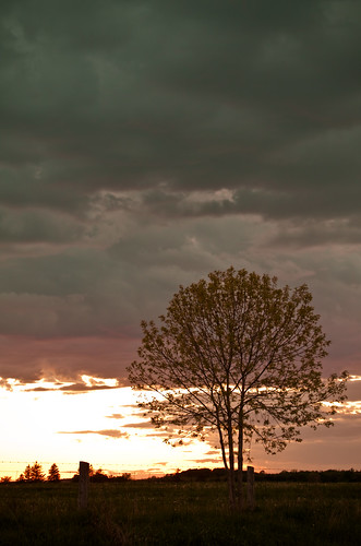 sunset tree weather clouds canon dark geotagged dusk ominous hampton xsi 450d giltennant