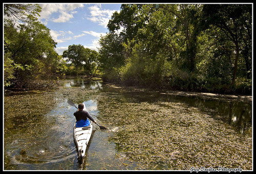 ca nature forest river kayak adventure riparian galt ndfilters consumnesriverpreserve tokina1116mmf28
