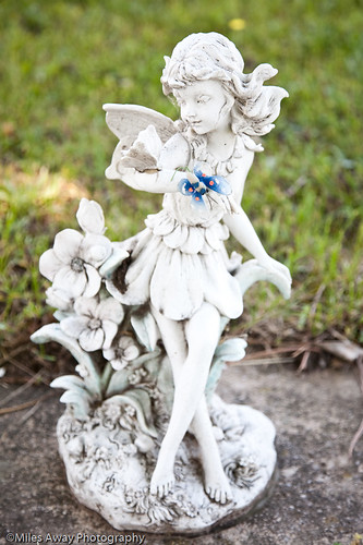 ontario beautiful grave statue butterfly photography wings peace photographer collingwood view headstone cemetary religion scenic picture peaceful fairy ashes gravestone rest spiritual presbyterian restinpeace mandimiles milesawayphotography collingwoodphotography collingwoodphotographer
