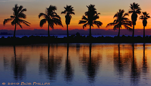 reflection sunrise florida palmtrees mathesonhammock