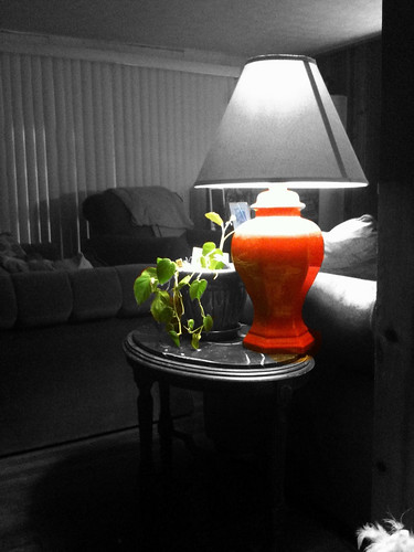 altered objects colorsplash iphone