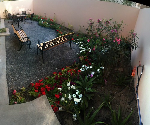 flowers plants garden office bahrain benches videoproduction seatingarea gulfbroadcast abusayba