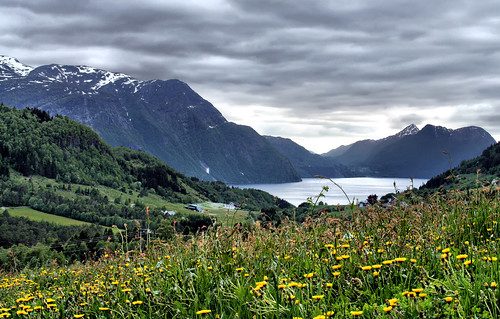 snow mountains clouds meadows fjord dandelions storfjord larigan phamilton vaksvik gettyimagesnorwayq1