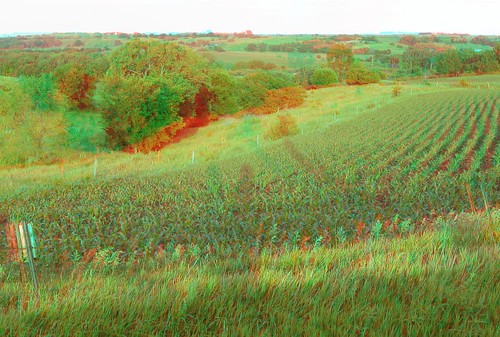 trees stereoscopic stereophoto 3d corn scenic anaglyph iowa anaglyphs redcyan 3dimages washta 3dphoto 3dphotos 3dpictures stereopicture