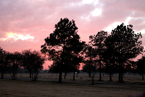 pink trees sunset red usa cemetery graveyard pine clouds army liberty freedom us twilight texas dusk military navy sailors houston honor headstones graves national granite wife service marines np wives airforce tombstones markers pinetrees veterans sacrifice soilders airmen armyaircorps nationalcemetery houstonnationalcemetery aircorps militarycemetery graditude twilightglow wyojones