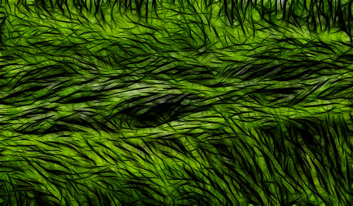 light green grass waves wave fractal fractalius