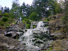 2003-08-16 08-22 Schwarzwald 065 Triberger Wasserfall