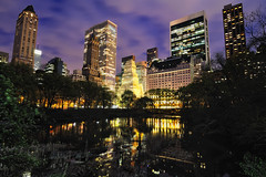 The Pond at Night, Central Park, New York City
