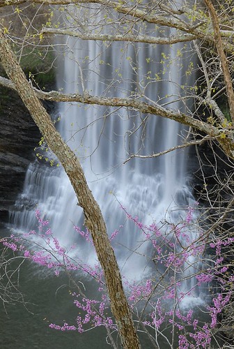 county cliff white water creek waterfall stream tennessee center taylor