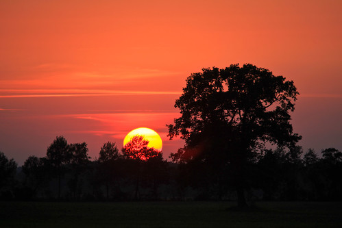 sunset orange sun lund tree skåne sweden sverige 2010 f63 veberöd canoneos5dmarkii ¹⁄₄₀₀sek ef200mmf28lusm2x