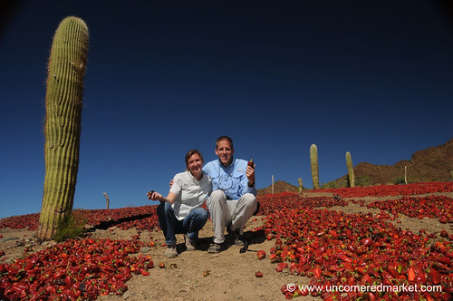 argentina da dna peppers salta cachi chilies northernargentina roastingchilies