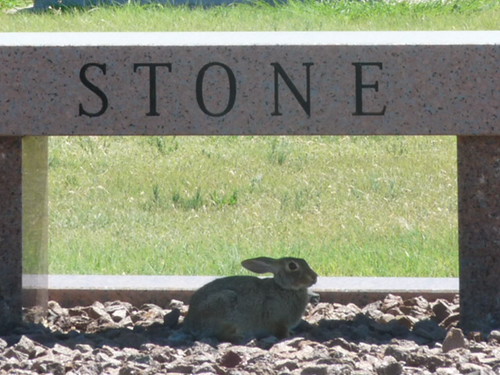 rabbit headstone cemetary texaspanhandle