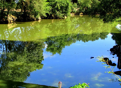 france nature eau europe boulogne vert rivière bleu reflet michel arbre reflets paysdelaloire loireatlantique craipeau canonpowershotsx1is philbertdegrandlieu