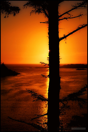travel sunset vacation orange canada colors silhouette vancouver shadows bc silhouettes vancouverisland tofino ucluelet hdr