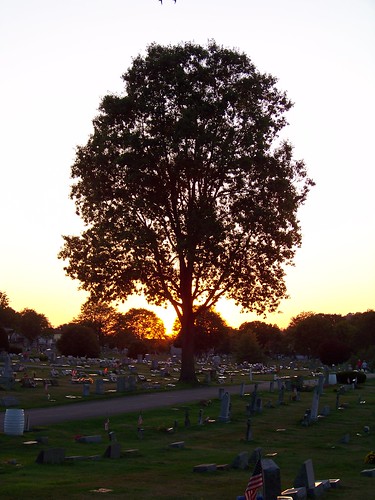 cemetery pennsylvania westmorelandcounty northbellevernon bellevernoncemetery