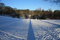 Tree shadows on snow