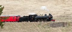 20100607_2003_1D3-105 A428 on Weka Pass Railway