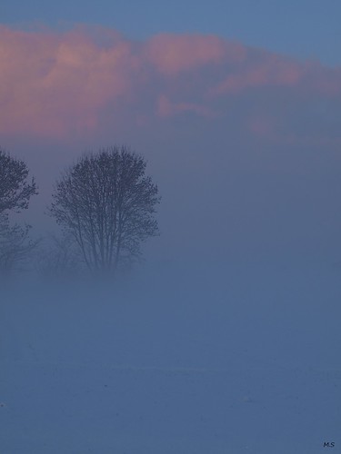 winter mist landscape hiver paysage brume