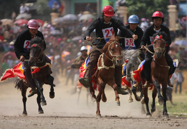 Horse racing essay