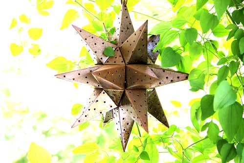 bronze yard star ivy ornament