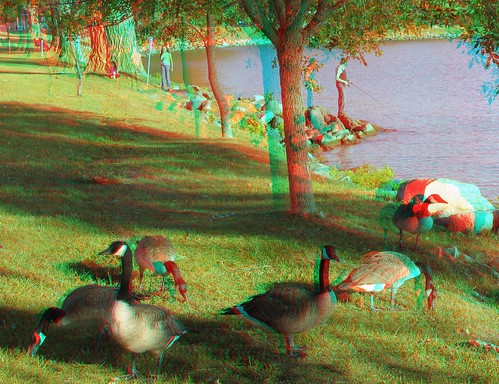 lake geese stereoscopic stereophoto 3d scenic iowa anaglyphs stormlake redcyan 3dimages 3dphoto 3dphotos 3dpictures stereopicture