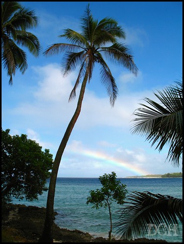 ocean blue seascape rainbow turquoise lagoon palmtree coconutpalm philscamera vanuatu coralsea portvila viewfromtheroom efate cocosnucifera erakorisland erakorlagoon erakorislandresort