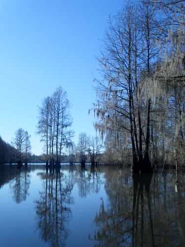 sc unitedstates rimini kayaking paddling pinewood lowcountryunfiltered sparkleberryswamp