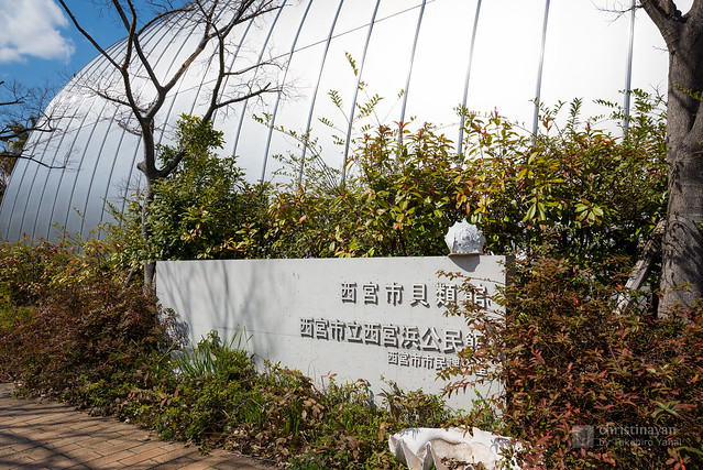Exterior view of Nishinomiya Shell Museum (西宮市貝類館)