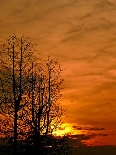trees wisconsin clouds sunrise branches doorcounty ourdailytopic
