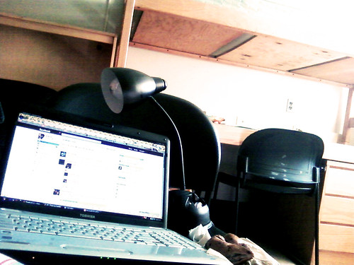 college campus bedroom girly laptop messy desklamp comfy