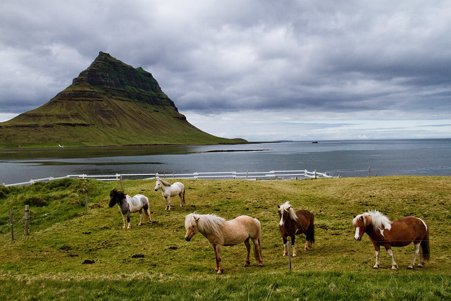 El pequeño pueblo de Grundarfjörður ("Fiordo de Grundar") está situado en el norte de la península de Snæfellsnes, en el oeste de Islandia.