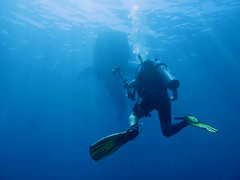 Omanta Scuba Diving Academy