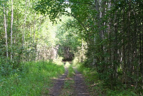 light hot mystery circle path sunny august trail hawks circleoflight blueberrypicking