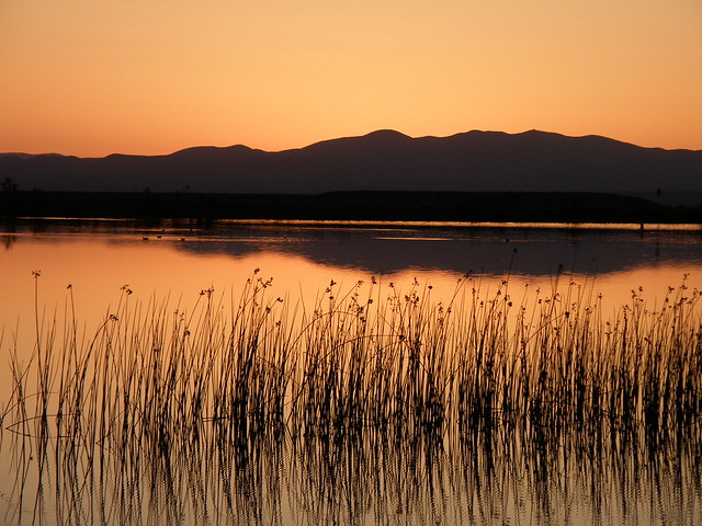 Sunrise At Roper Lake State Park, AZ
