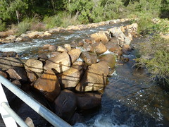 Fishway on Margaret river's weir